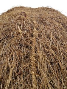 Hay Cord