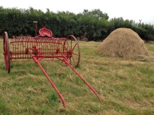 Horse Drawn Hay Rake