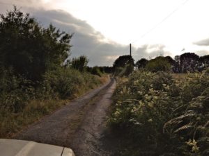 Narrow Lanes Also Known as Boreens