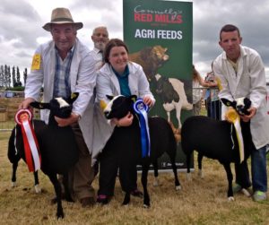 1st, 2nd, 3rd for the O'Keeffe's ZSA Flock #00554 Limestone