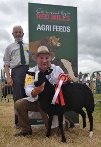 1st Place in Ewe Lamb Class Limestone Abby
