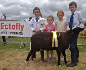 Breda Horgan's Third Placed Ram Lamb