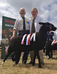 John Rowlands, Noel Lally & Reserved Champion Ewe
